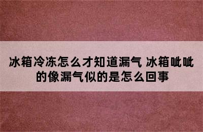 冰箱冷冻怎么才知道漏气 冰箱呲呲的像漏气似的是怎么回事